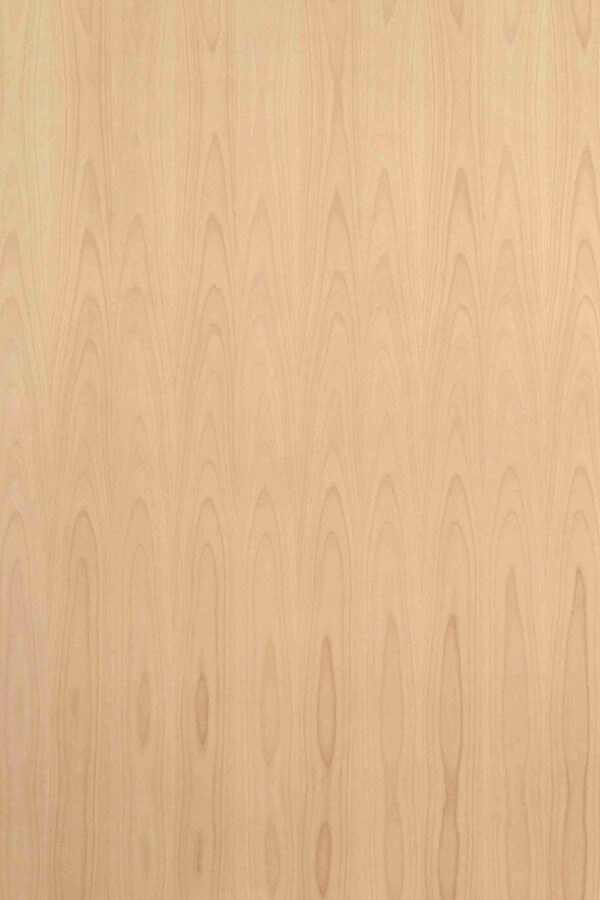 DTD Buk n. A/B dýhovaná 4,2x2050x1810mm